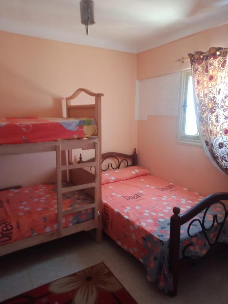 Appartement Free Wi-fi فى الاسكندرية New Sea View *